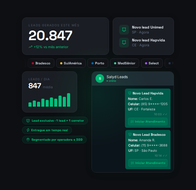 Painel de leads Salyd